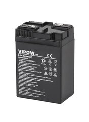 Akumuliatorius Vipow 6V 4Ah цена и информация | Аккумуляторы | pigu.lt