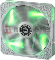 BitFenix Spectre Pro LED (BFF-WPRO-14025G-RP) kaina ir informacija | Kompiuterių ventiliatoriai | pigu.lt