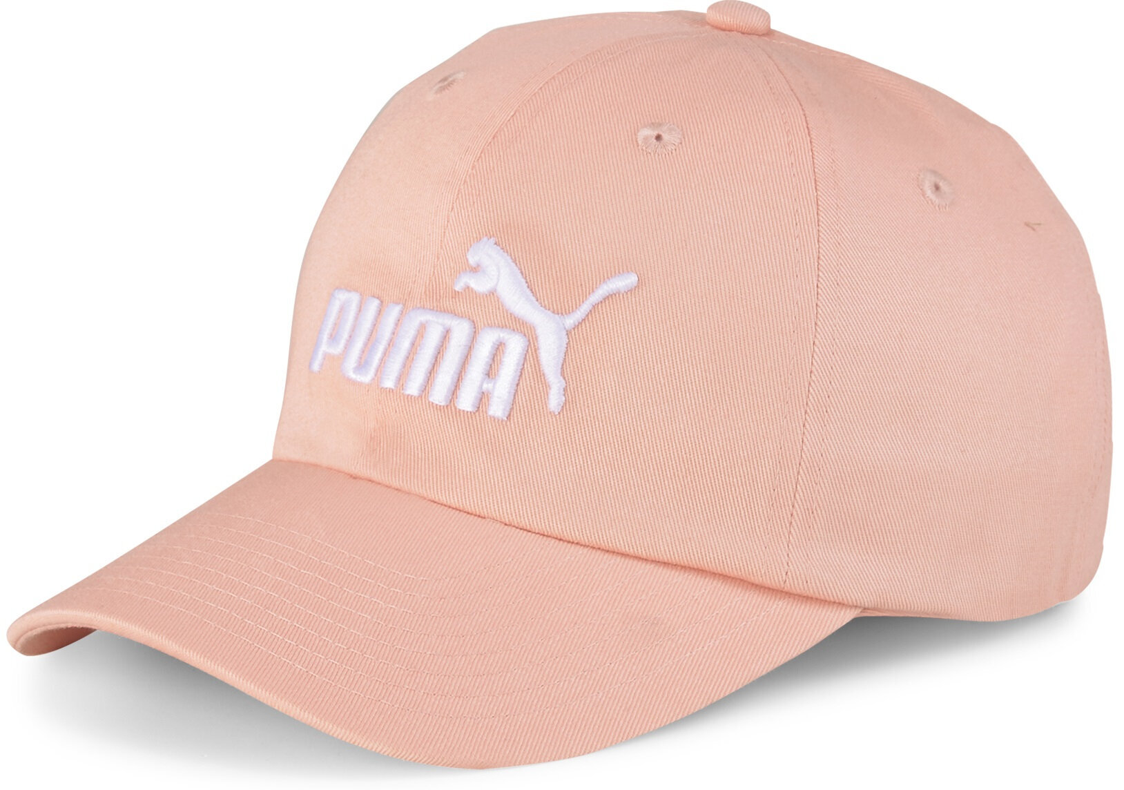 puma mesh cap