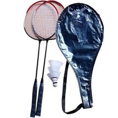 Badmintono rinkinys Enero 101 kaina ir informacija | Badmintonas | pigu.lt