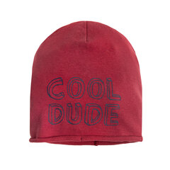 Cool Club kepurė berniukams, CAB2330865 kaina ir informacija | Kepurės, šalikai berniukams | pigu.lt