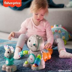 Литовскоязычный музыкально-интерактивный Ленивец Fisher-Price цена и информация | Игрушки для малышей | pigu.lt