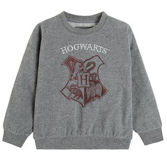 Cool Club bluzonas berniukams Haris Poteris (Harry Potter), LCB2312988 kaina ir informacija | Cool Club bluzonas berniukams Haris Poteris (Harry Potter), LCB2312988 | pigu.lt