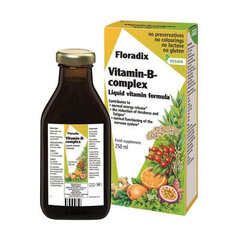 Maisto papildas Floradix Vitamin-B Complex, 250 ml kaina ir informacija | Vitaminai, maisto papildai, preparatai gerai savijautai | pigu.lt