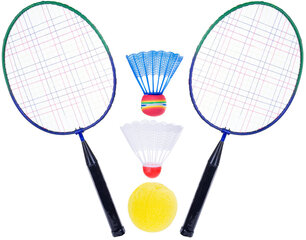 Badmintono rinkinys Enero Jr. kaina ir informacija | Badmintonas | pigu.lt
