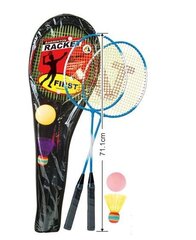 Badmintono rinkinys, AJ1701RK/1202S052 kaina ir informacija | Badmintonas | pigu.lt