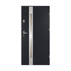 Двери наружные стальные Temidas 80, правые, темно-серые цена и информация | Уличные двери | pigu.lt