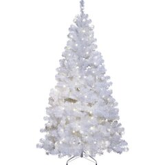 Kalėdinė eglutė LED Ottawa 2.10 m kaina ir informacija | Eglutės, vainikai, stovai | pigu.lt