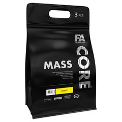 Fa Mass Core, braškinis, 3 kg kaina ir informacija | Papildai ir preparatai masei auginti | pigu.lt