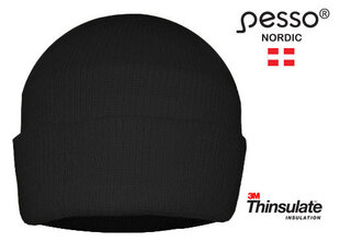 Šilta kepurė Pesso Thinsulate kaina ir informacija | Galvos apsauga | pigu.lt