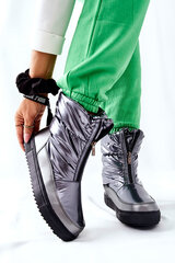 Žieminiai batai moterims Monile 292060333 kaina ir informacija | Žieminiai batai moterims Monile 292060333 | pigu.lt