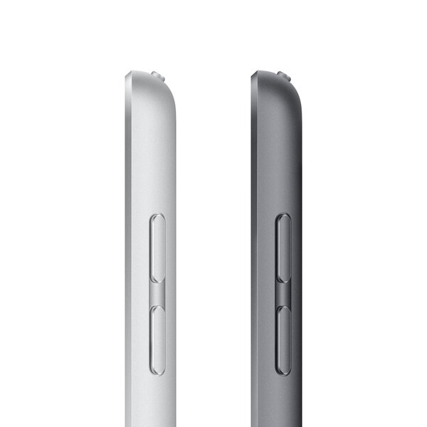 Apple iPad 9 kartos, 10.2", Wi-Fi, 256GB, pilkas kaina