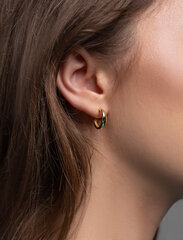 Paauksuoto sidabro auskarai moterims hoopsai Allura kaina ir informacija | Auskarai | pigu.lt