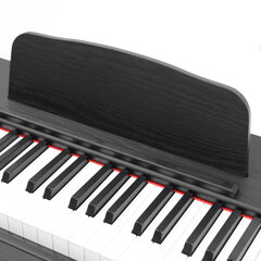 Skaitmeninis pianinas Divarte DP45 kaina ir informacija | Klavišiniai muzikos instrumentai | pigu.lt