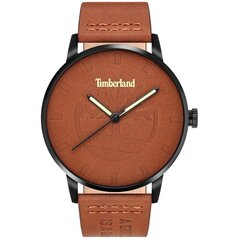 Vyriškas laikrodis Timberland Raycroft TBL.16076JYB/20 цена и информация | Мужские часы | pigu.lt