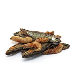 Prodac Tartafood Mix žuvytės ir krevetės vėžliukams, 1200ml, 200g. kaina ir informacija | Egzotiniams gyvūnams | pigu.lt