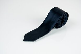 Kaklaraištis vyrams Accessories, mėlynas kaina ir informacija | Kaklaraiščiai, peteliškės | pigu.lt