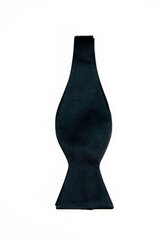 Užrišama peteliškė, juoda kaina ir informacija | Kaklaraiščiai, peteliškės | pigu.lt