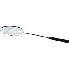 Badmintono raketė Best Sporting 200 XT kaina ir informacija | Badmintonas | pigu.lt