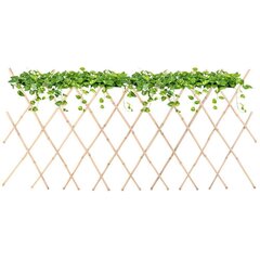 Tvorelė vijokliniams augalams ProGarden, 180x70 cm kaina ir informacija | Tvoros ir jų priedai | pigu.lt