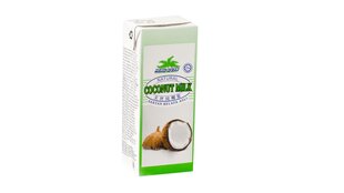 Kokosų kremas Heng Guan 200 ml kaina ir informacija | Pieno produktai | pigu.lt