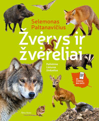 Žvėrys ir žvėreliai: pažinkime Lietuvos žinduolius kaina ir informacija | Lavinamosios knygos | pigu.lt