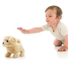 Интерактивный щенок Goldie цена и информация | Игрушки для девочек | pigu.lt