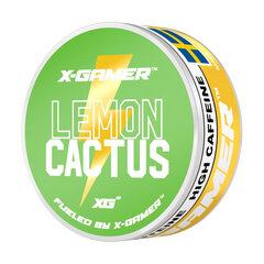 X-Gamer Pouch Energy – Lemon & Cactus kaina ir informacija | Energetikai | pigu.lt
