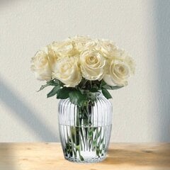Baltai kreminės rožės Rosa Avalanche, 9 vnt. kaina ir informacija | Gyvos gėlės | pigu.lt
