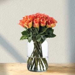 Oranžinės rožės Rosa, 9 vnt. kaina ir informacija | Gyvos gėlės | pigu.lt