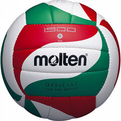 Tinklinio kamuolys Molten V5M1900, 5 dydis kaina ir informacija | Kitos tinklinio prekės | pigu.lt