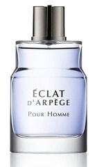 Tualetinis vanduo Lanvin Eclat D'Arpege Pour Homme EDT vyrams 50 ml kaina ir informacija | Kvepalai moterims | pigu.lt