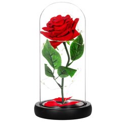Rožė su LED girilianda HA5156 kaina ir informacija | Miegančios rožės, stabilizuoti augalai | pigu.lt
