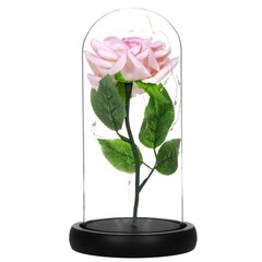 Rožė su LED girilianda HA5157 kaina ir informacija | Miegančios rožės, stabilizuoti augalai | pigu.lt