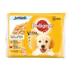 PEDIGREE Junior konservuotas ėdalas šunims 4x100 g kaina ir informacija | Konservai šunims | pigu.lt