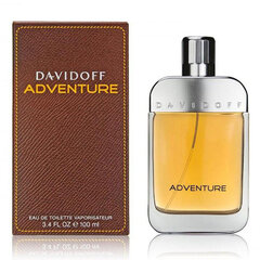 Мужская парфюмерия Adventure Davidoff EDT: Емкость - 100 мл цена и информация | Мужские духи | pigu.lt