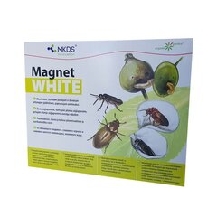 Kenkėjų gaudyklė Mkds Magnet kaina ir informacija | Vabzdžių naikinimas | pigu.lt