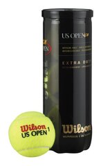 Lauko teniso kamuoliukai Wilson US Open kaina ir informacija | Lauko teniso prekės | pigu.lt