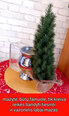 Kalėdinė eglutė vazonėlyje, 50 cm