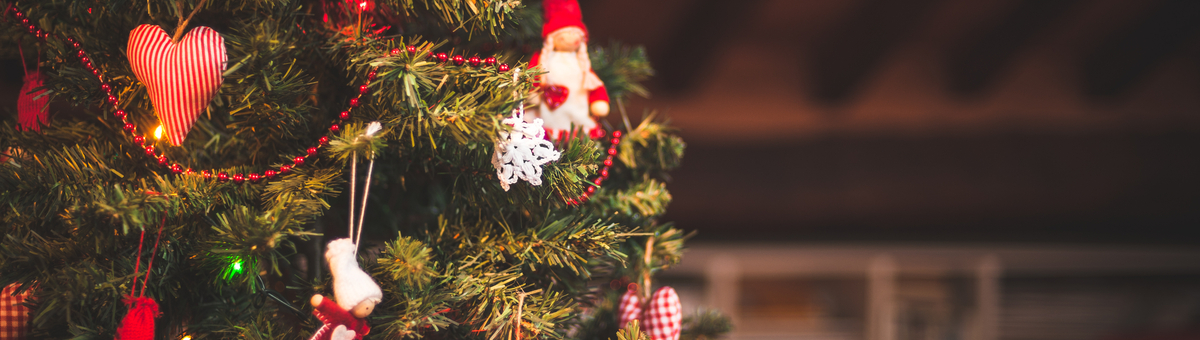 Gyva ar dirbtinė – kokią eglutę puošti Kalėdoms?